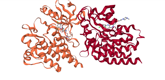 Protein preparation options
