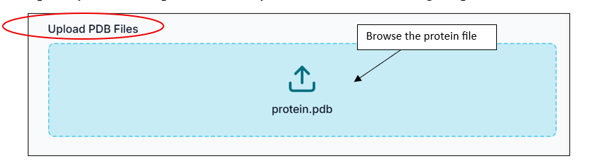 Uploaded Proteins list